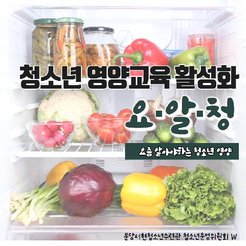 청소년 영양교육 활성화 - 요·알·청 [요즘 알아야 하는 청소년 영양]